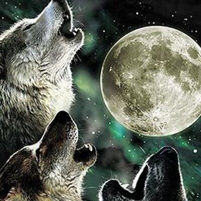 wolf_moon_profile