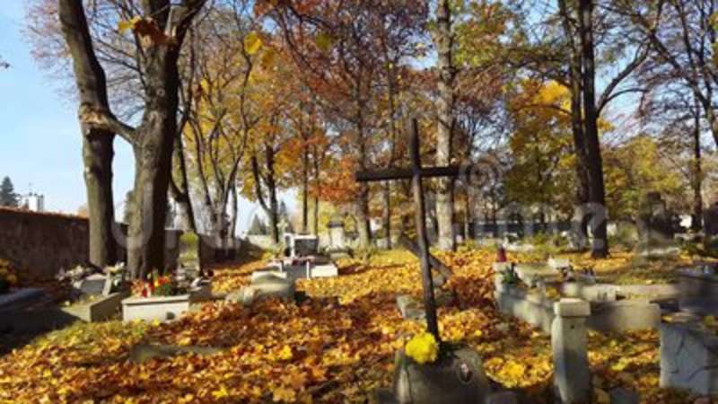 fall-leaves-in-cemetery