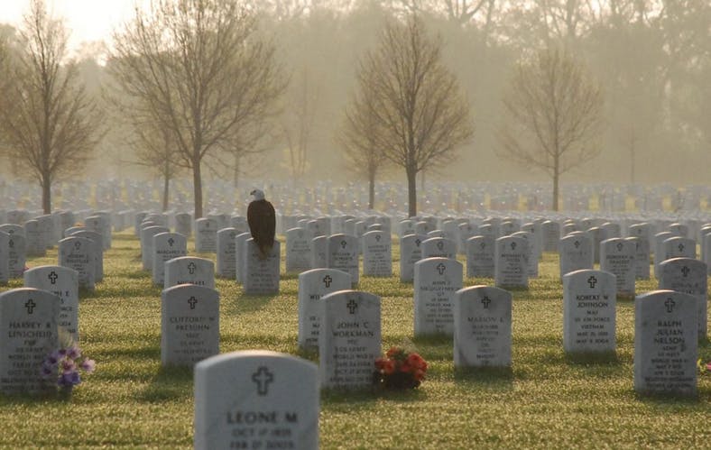 EagleOnGravestone