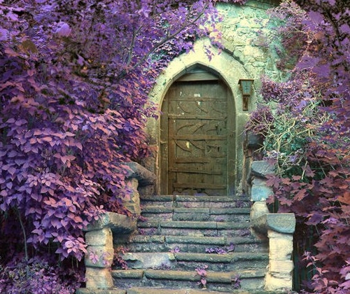 Magic Door Amongst Purple Leaves