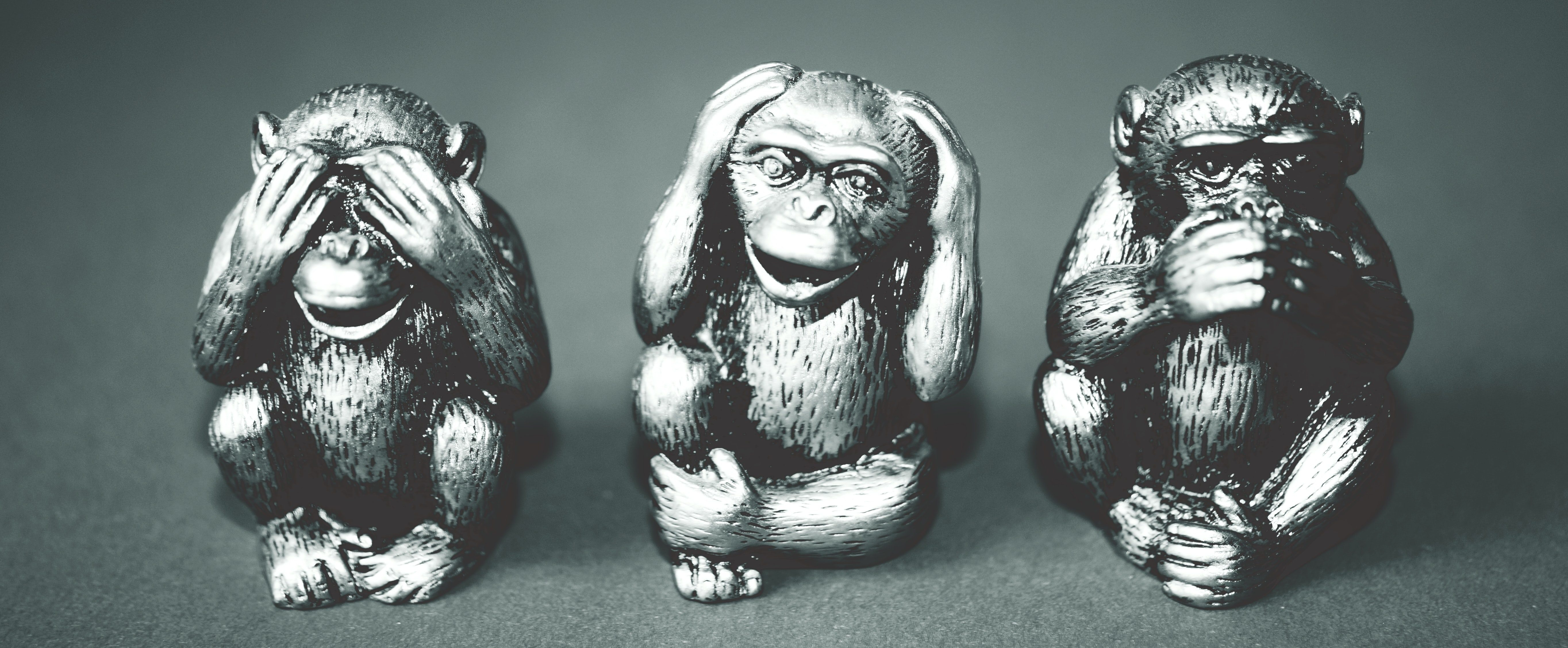 3 monkeys. See no evil. Hear no evil. Say no evil.