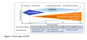 Clinical_Stages_of_COVID.png