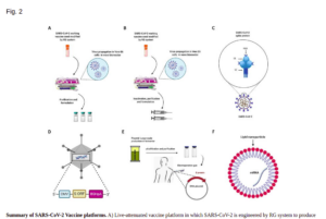 Summary_of_SARS-CoV-2_Vaccine_Platforms.png