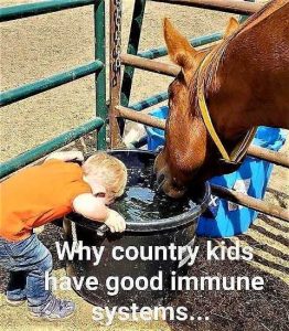 why-country-kids-have-good-immune-systems-drinking-with-horse-water.jpg