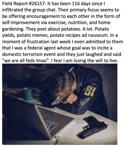 Potatoes-Field-Report.png