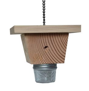 Best-Carpenter-Bee-Traps