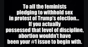 to-all-the-feminists