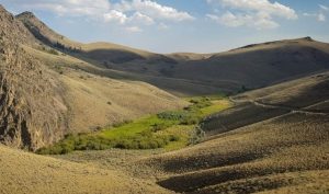 Alderspring-Hat-Creek-Ranch