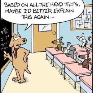 cartoon-head-tilts