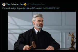 humor-bee-judge-appoints-self-president