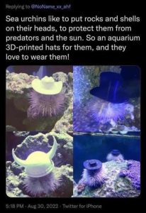 552315174_1419731113489113_1013358007257188677_n