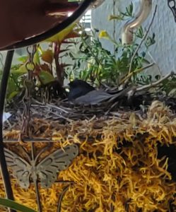 06-17-26-momma-sitting