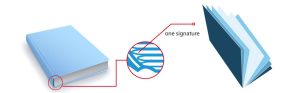 print-signatures